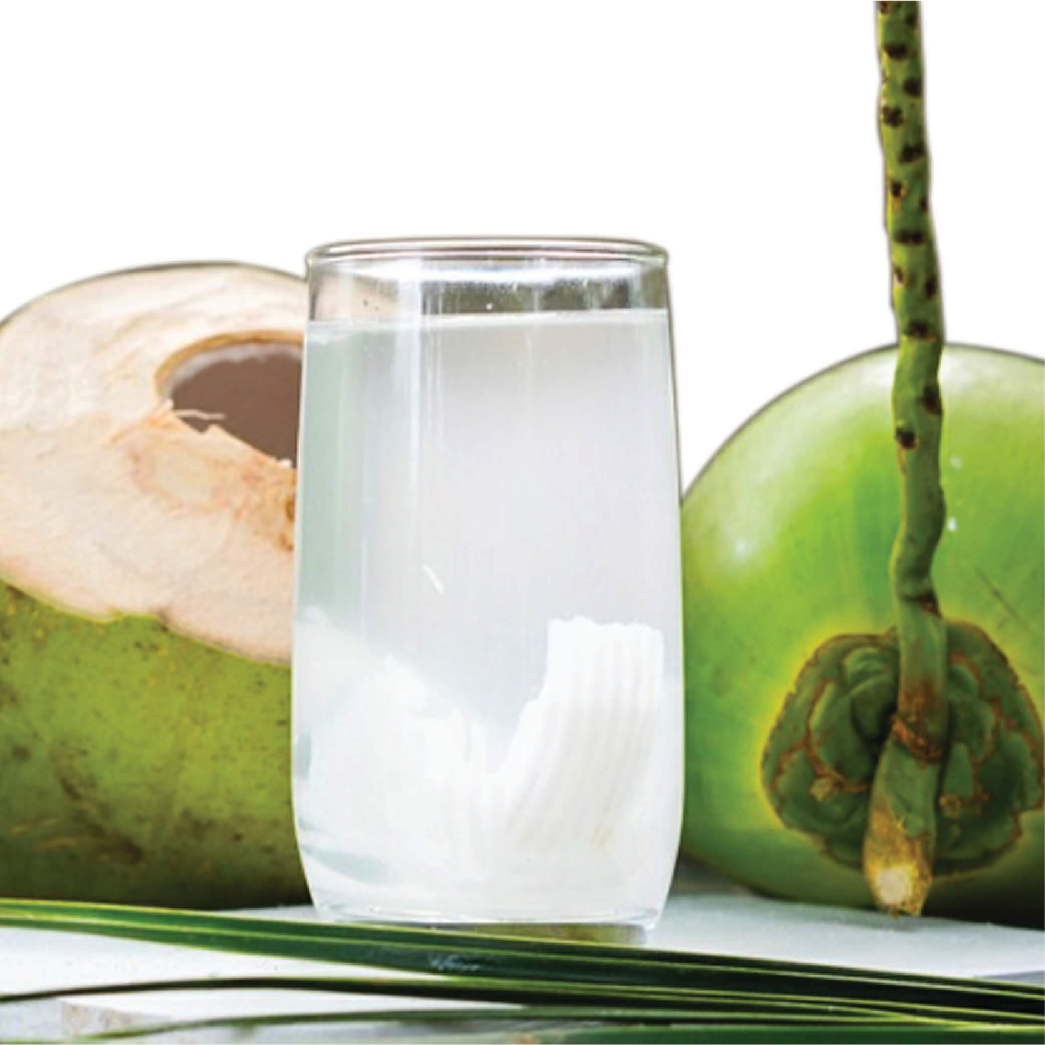 Coconut Water