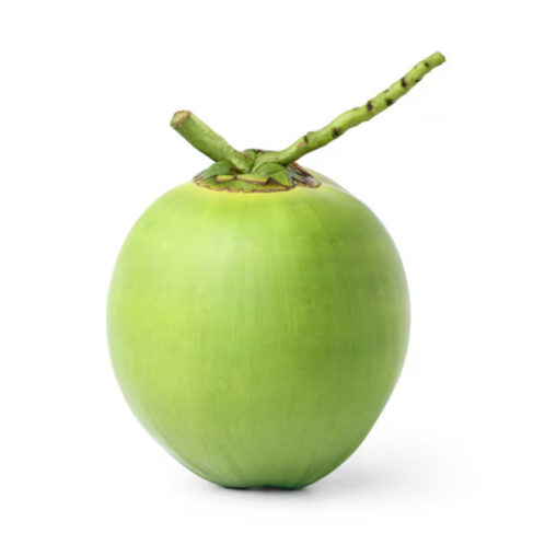 Young Coconut